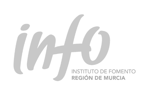 Logo gris Instituto de Fomento Región de Murcia