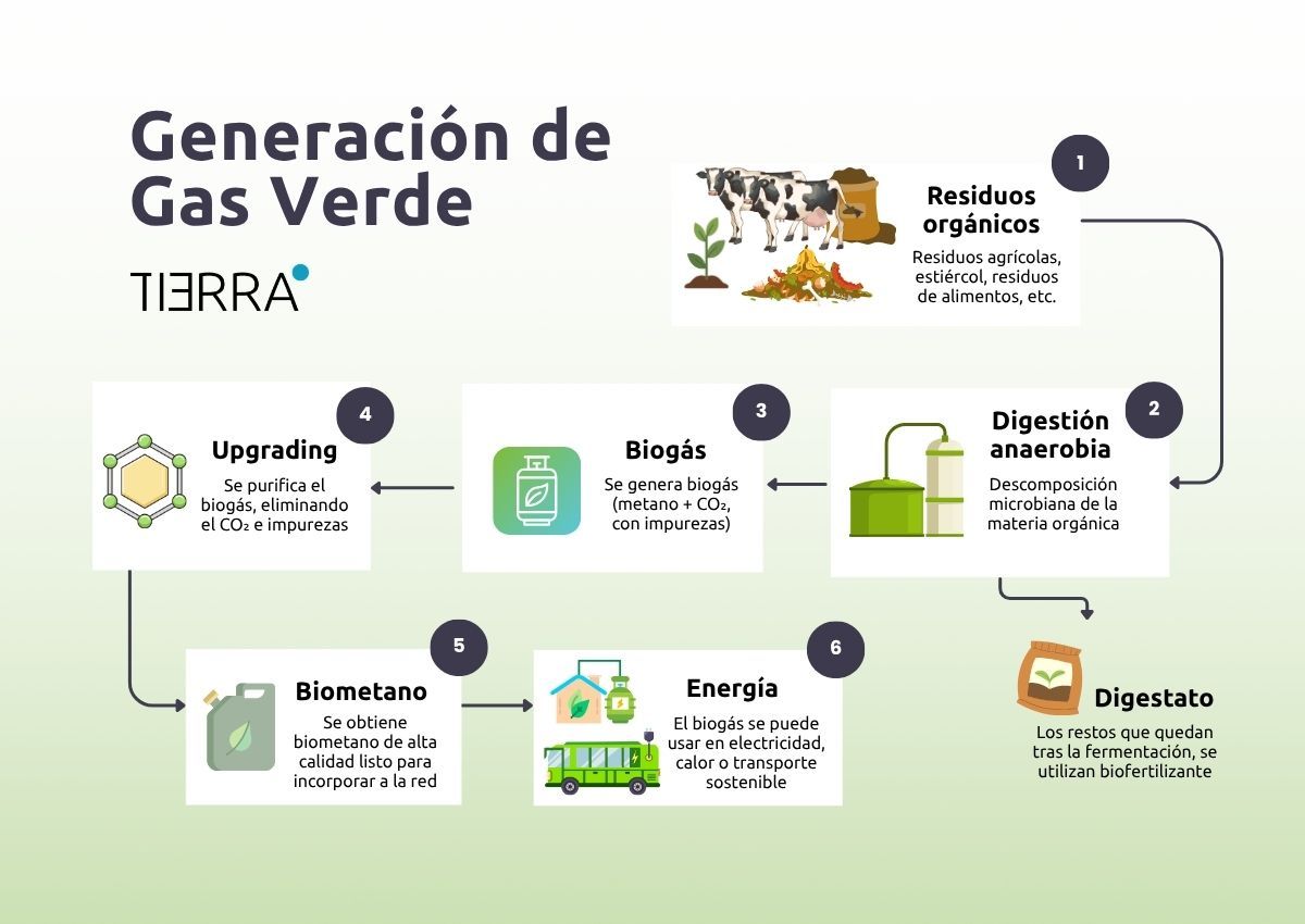 Generación de Gas Verde