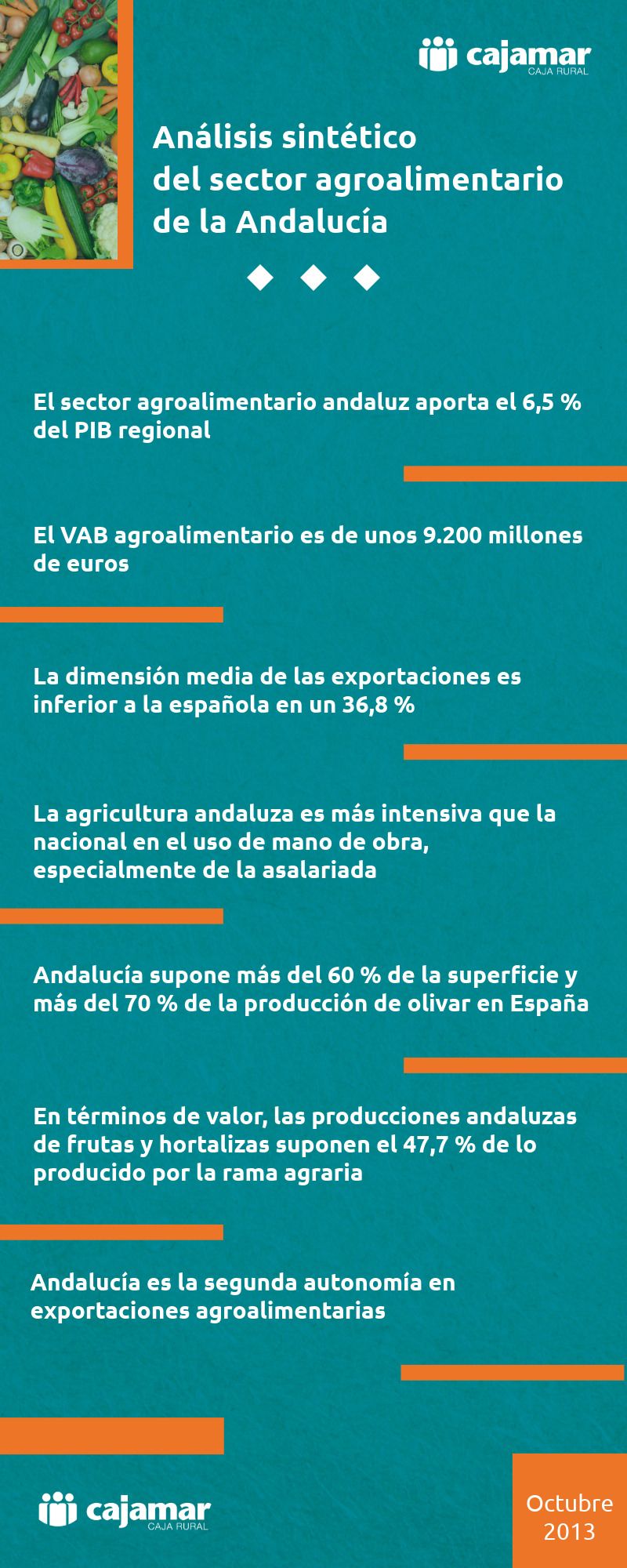 Infografía-Sintético-Andalucía-2013.jpeg