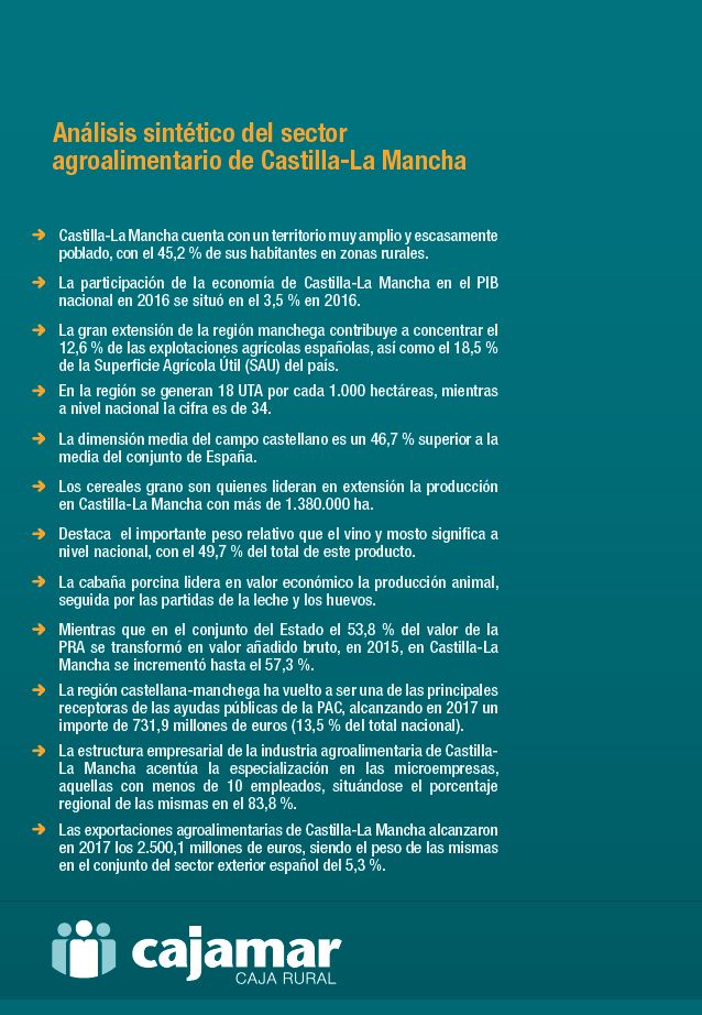 Infografía-Sintético-CLM-2018.jpg