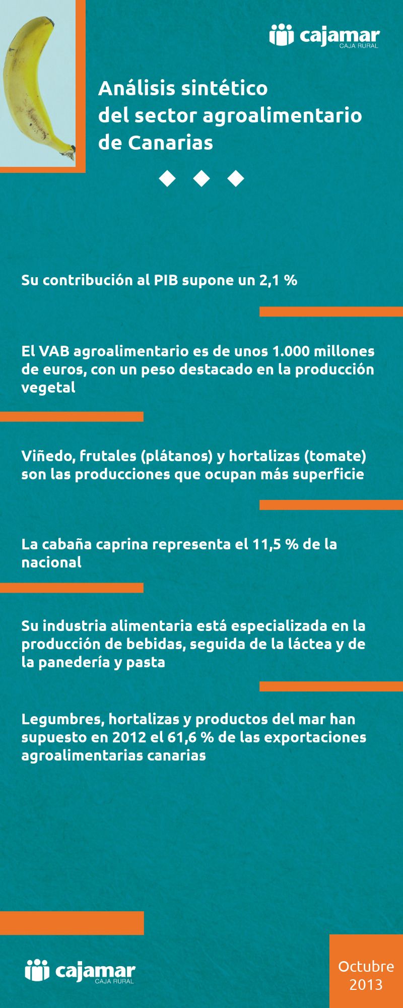 Infografía-Sintético-Canarias-2013.jpeg