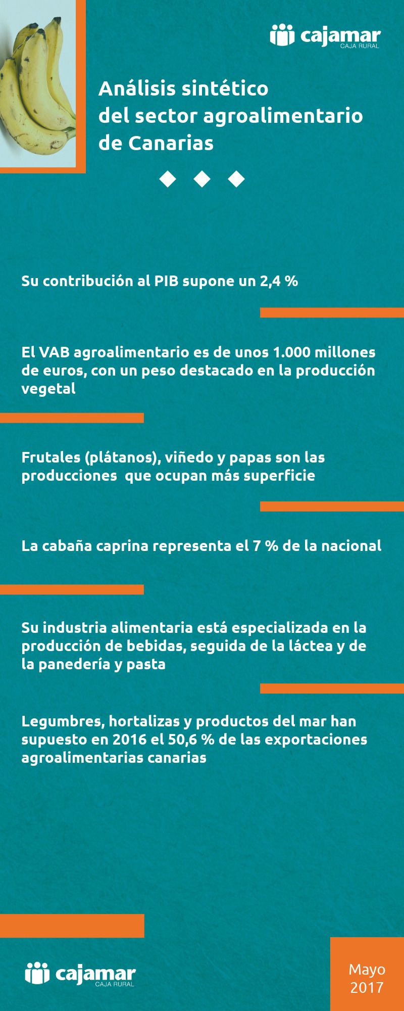 Infografía-Sintético-Canarias-2017.jpeg