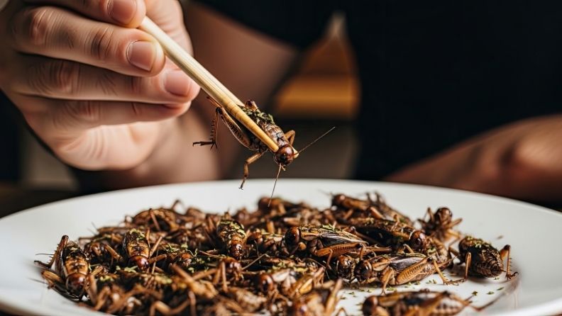 Persona sostiene con palillos un saltamontes sobre un plato repleto de ellos.