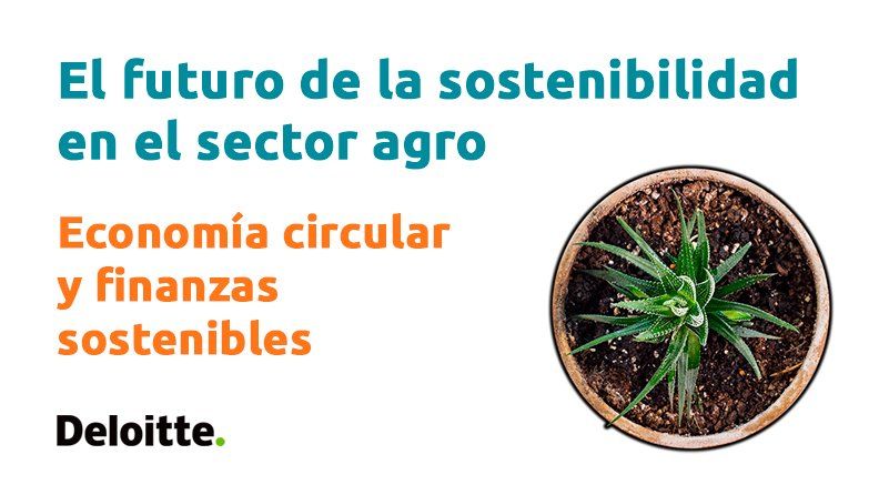 El futuro de la sostenibilidad en el sector agro 