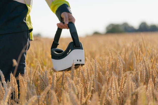 Joven agricultor caminando por un campo de trigo con un sistema de realidad virtual
