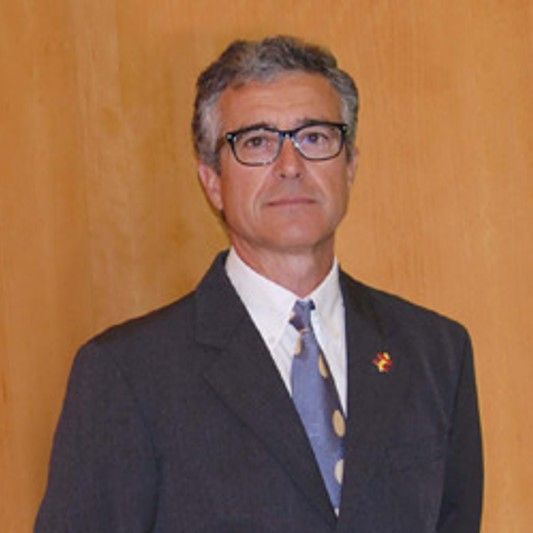 Juan Colomina