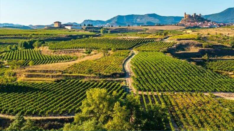 La sostenibilidad de la agricultura española