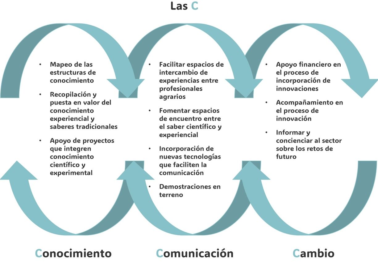 Fuente: Cruz, Sayadi y Albisu (2021): 'AKIS. Delconocimiento a la innovación en el sector agroalimentario'.