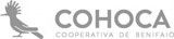 Logo Cohoca f