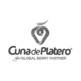 Cuna de Plateros Logo Gris