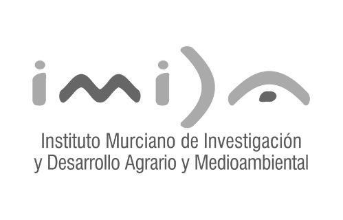 Logo IMIDA BN