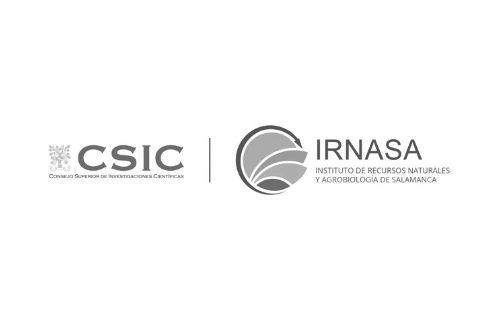 Logo IRNASA