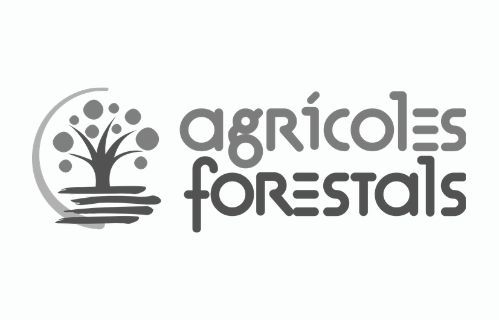 Logo gris CETAFC Logo gris CETAFC