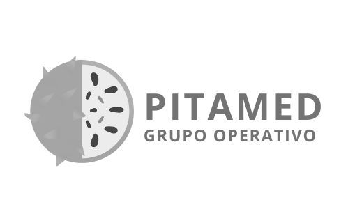 Logo Pitamed