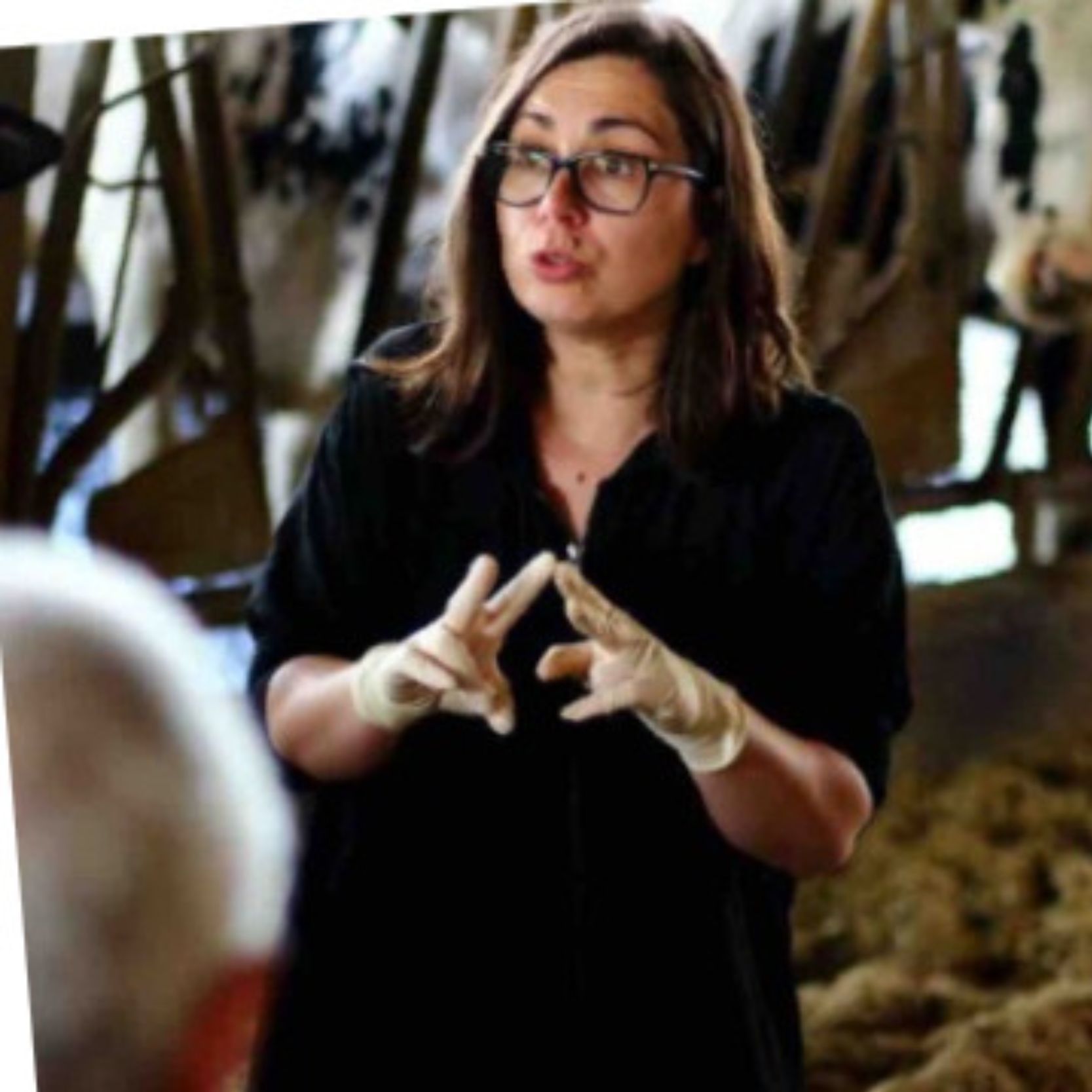Mujer hablando con guantes en sala de vacas.