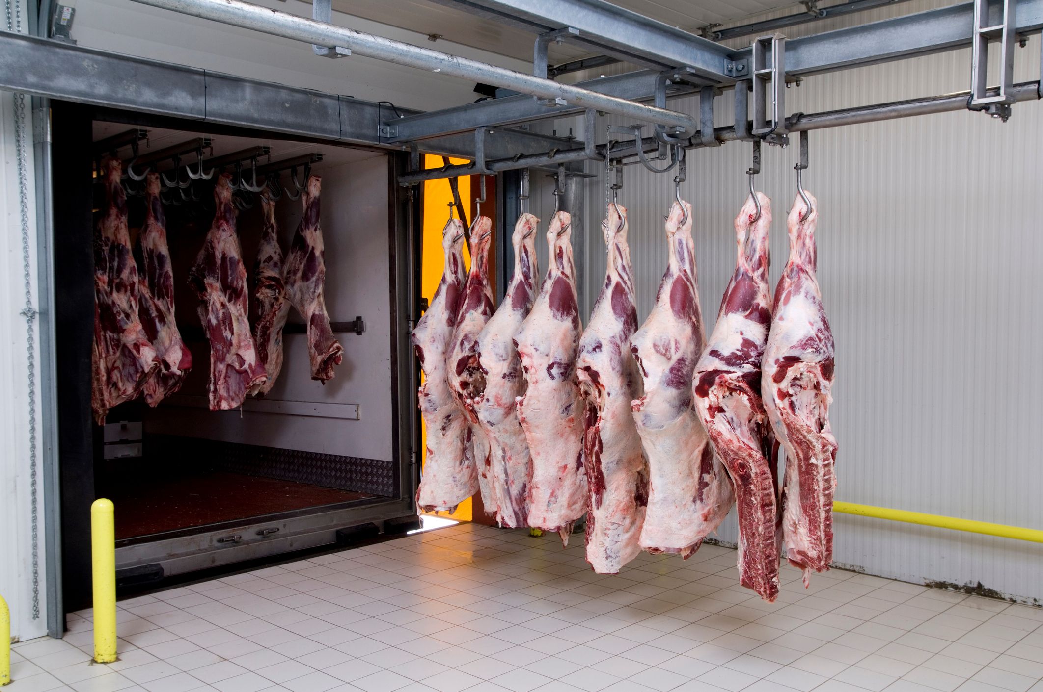 Matadero de vacuno con piezas de carne colgadas dispuestas a ser trasladadas