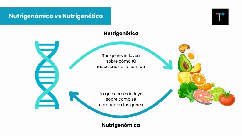 Nutrigenómica vs nutrigenética.webp