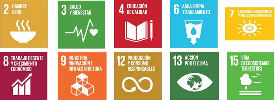 Temáticas de Agenda de Desarrollo Sostenible 2030 de la ONU.