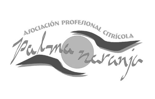 Palmanaranja Logo Gris