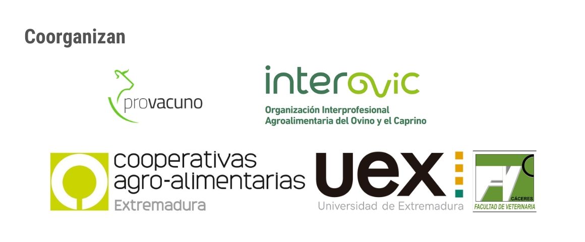 Pastilla logos rumiantes cáceres