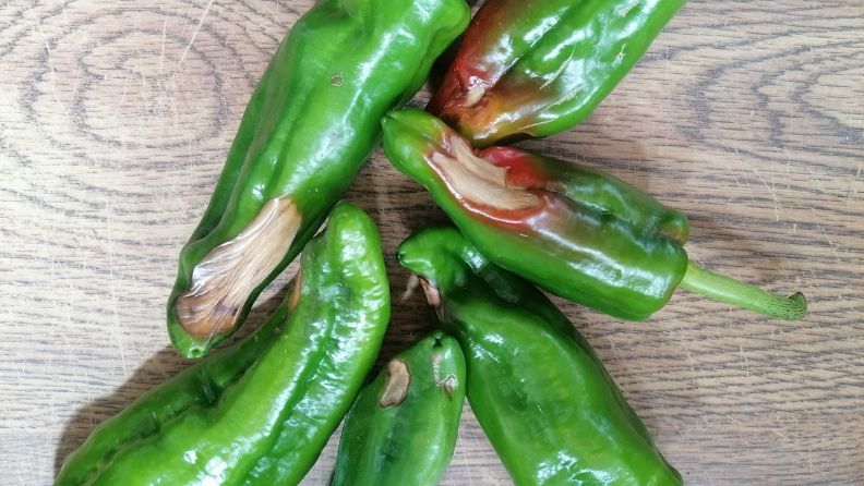 Pimiento destrio por blossom end rot.