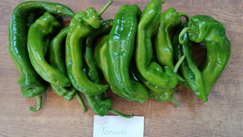 Pimientos verdes torcidos sobre una superficie de madera.
