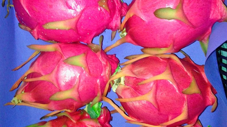 Pitaya.