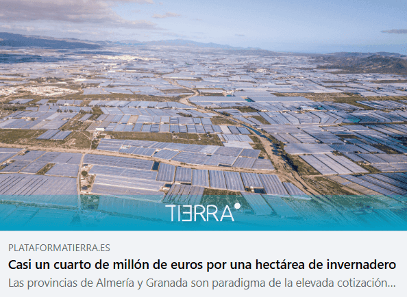 Precio medio hectárea 