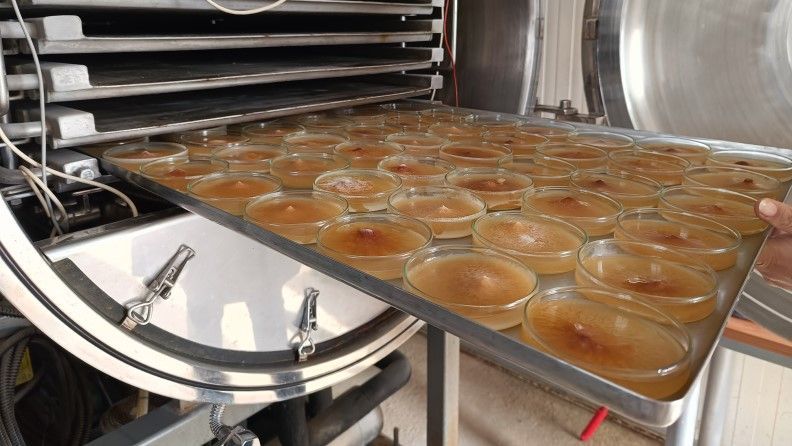 Nuevos desarrollos a partir de productos agrícolas para un sector primario sostenible