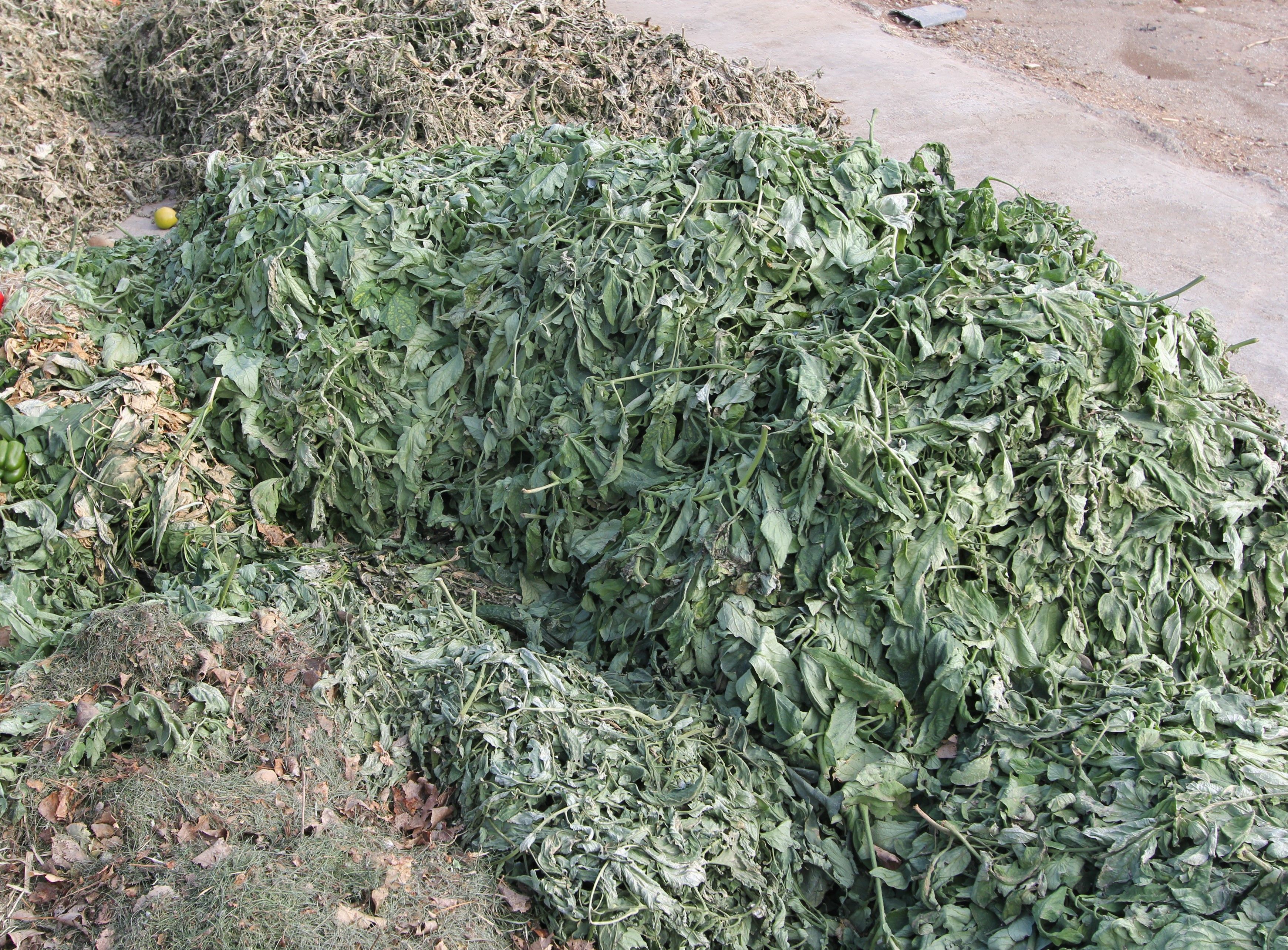 Restos vegetales de cultivos hortícolas