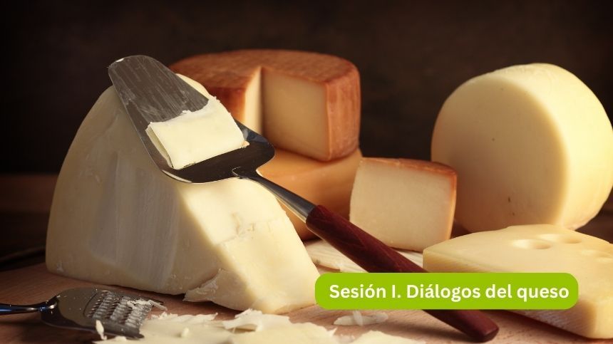 Diferentes tipos de queso con un cuchillo y rallador.