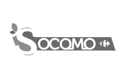 Logo gris Socomo