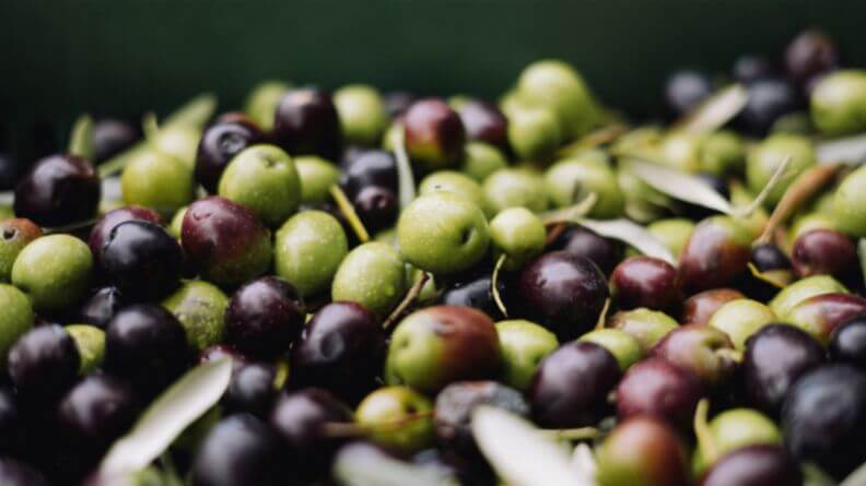 Aceitunas negras y verdes, Subida del precio del aceite de oliva