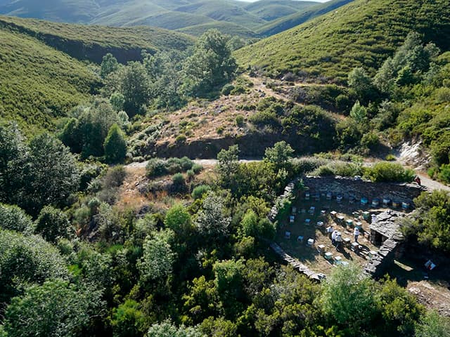 Paisaje de monte con panales de abeja