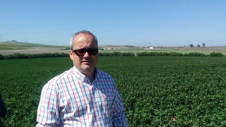 Visita finca de quinoa en Sevilla