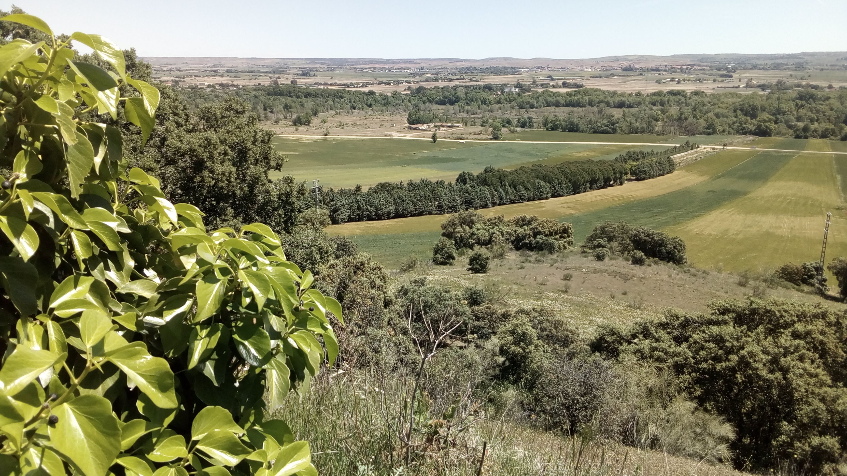 Vista aérea de un campo de cultivo