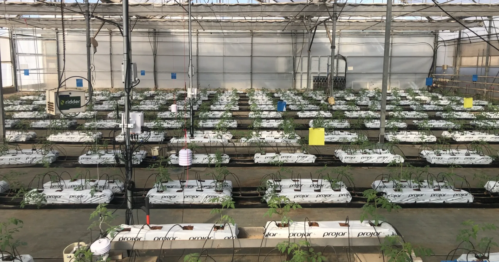 Unidades de cultivo de plantas en una granja.