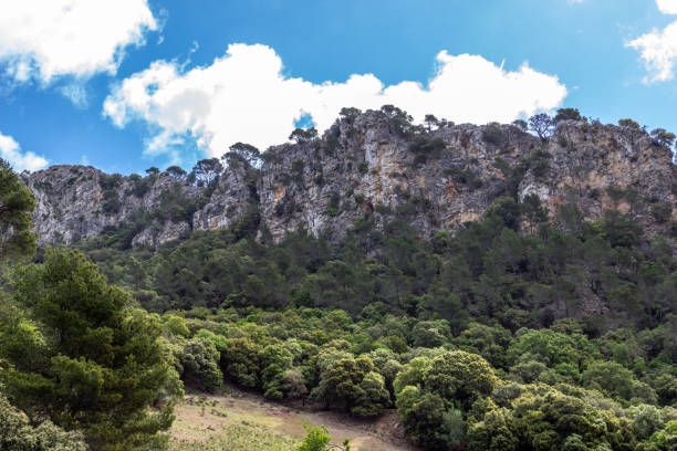 Zona forestal, con un camino rodeado de bosque, al fondo un acantilado, cielo azul con nubes