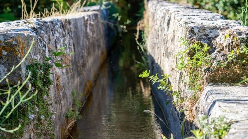 Acequia tradicional de piedra con vegetación entre los muros de un sistema de regadío histórico