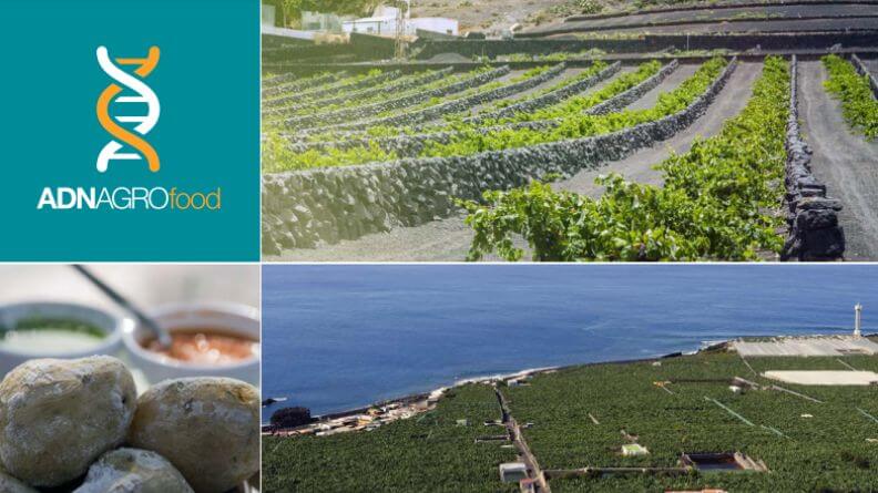 Sector agroalimentario en Canarias