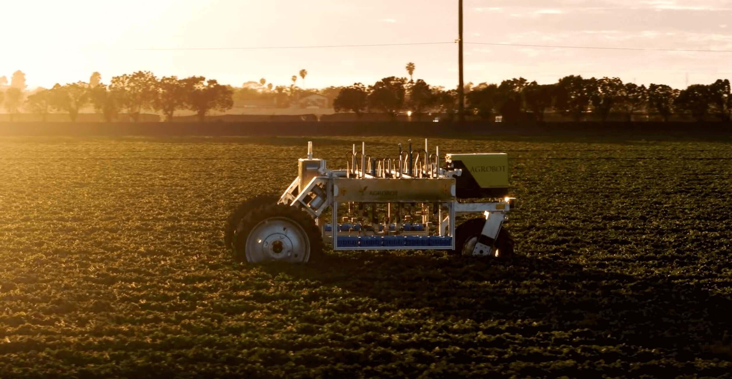 cosechadora robótica en un campo de fresas, automatización del campo