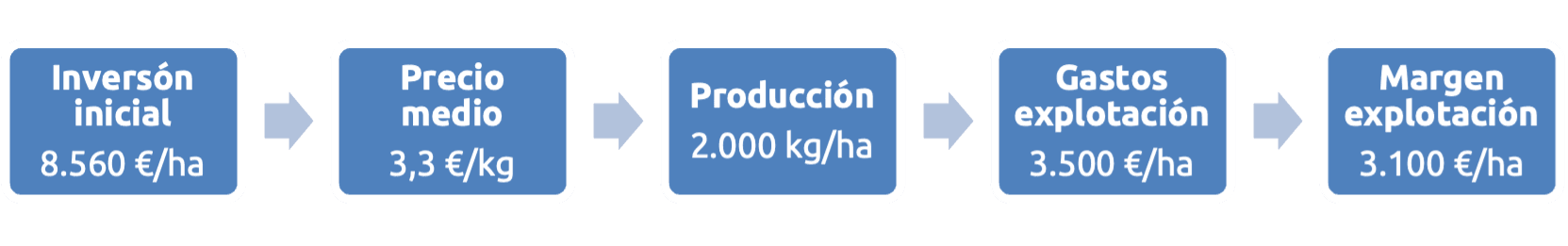 Almendro Intensivo en Regadío en España