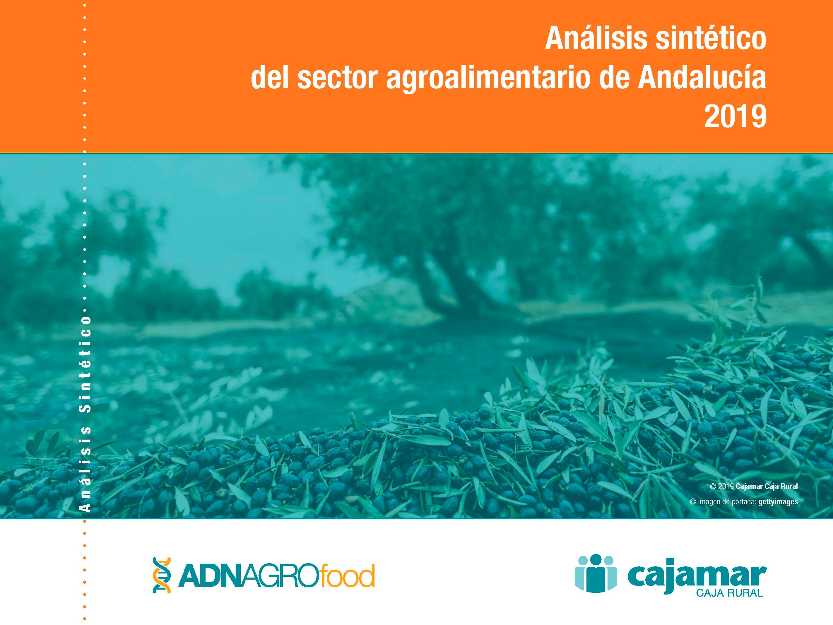 Portada análisis sintético del sector agroalimentario de Andalucía 2019