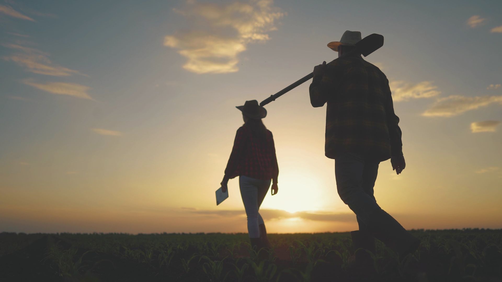 Dos agricultores caminando en el campo
