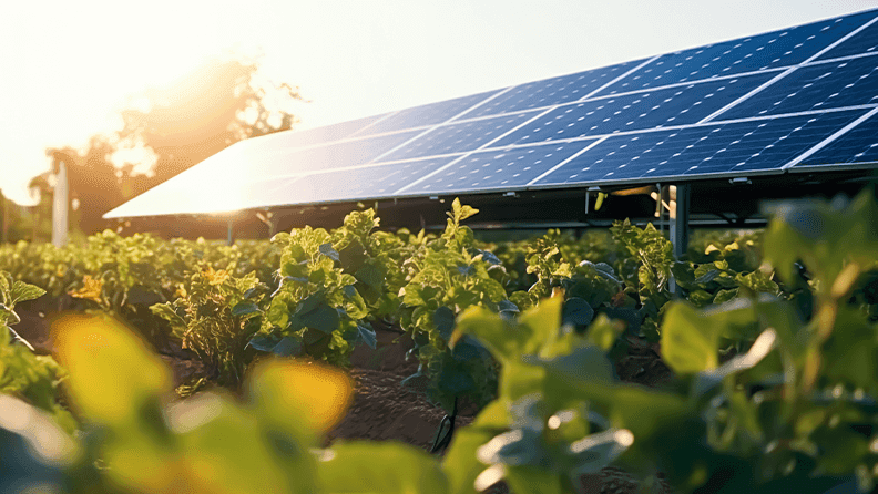 Paneles solares en un campo de cultivo