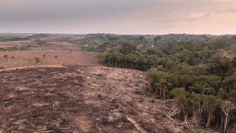 Deforestación en el Amazonas