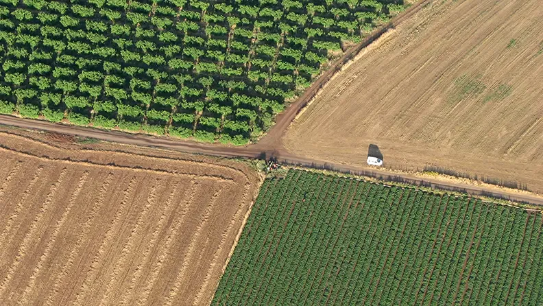 Cruce de caminos