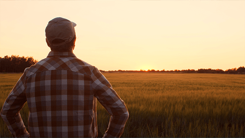 Agricultor mirando al horizonte en un campo de cereal
