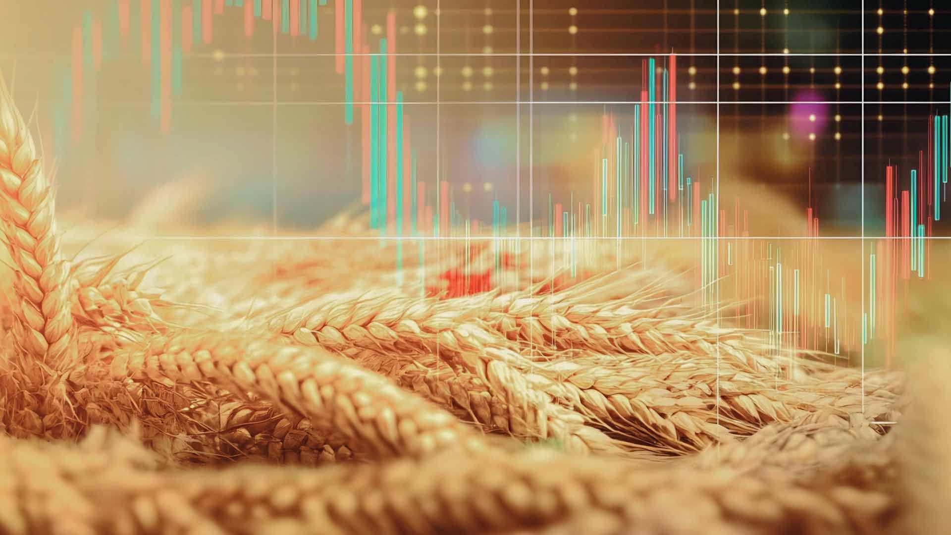 Mercados Cereales 2025
