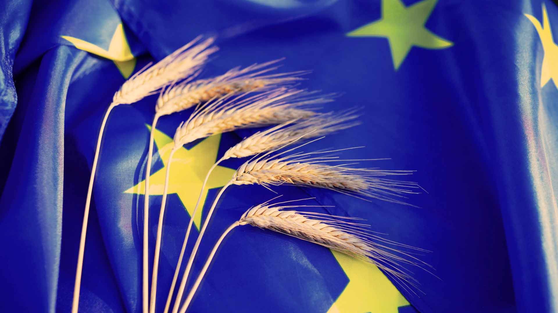 Trigo sobre la bandera de la UE